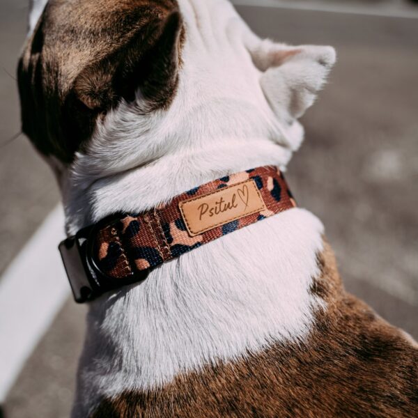 Obroża Psitul Panters