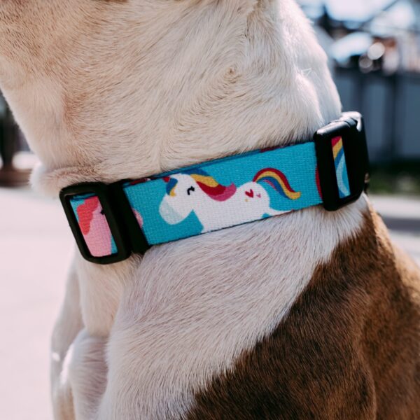 Obroża Psitul Unicorns