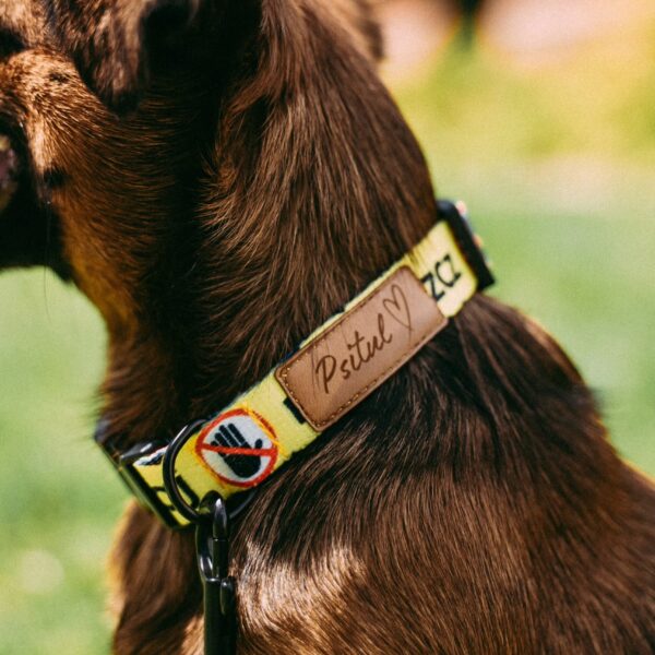 Obroża Psitul Yellow