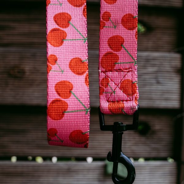 Smycz Psitul Cherry
