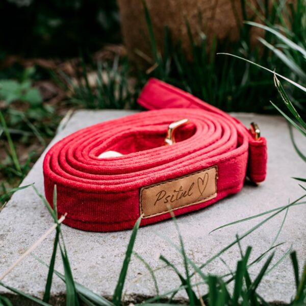 Smycz Psitul Red