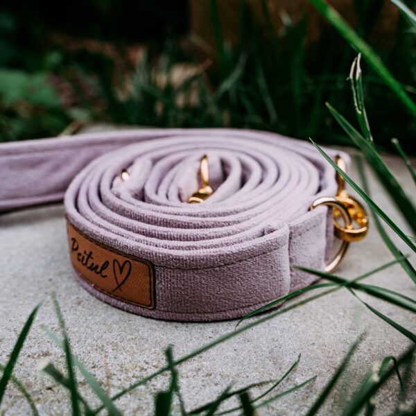 Smycz Psitul Lavender